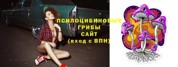 сатива Карталы