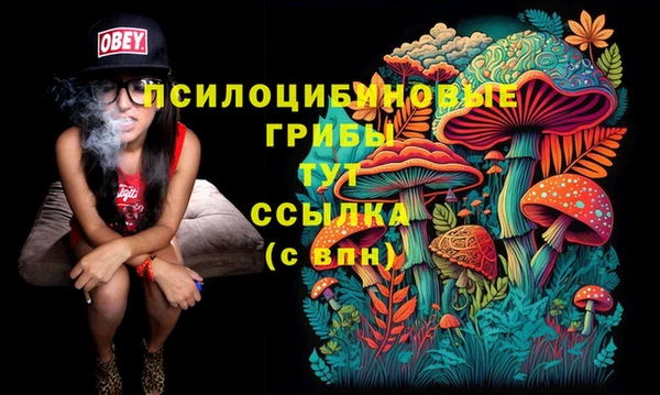 меф Касимов