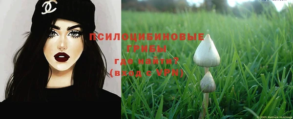 сатива Карталы