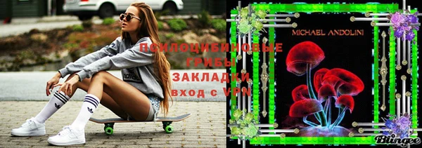 кокаин Каменка