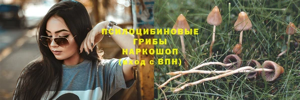 кокаин Каменка