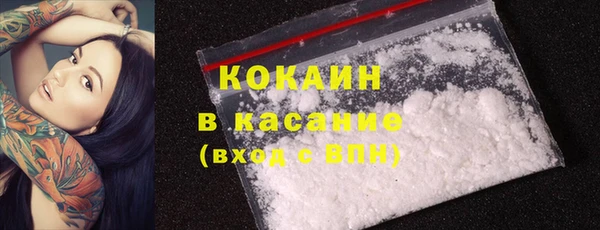 сатива Карталы