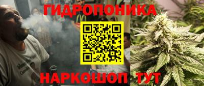 каннабис Кунгур
