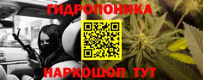 гашик Абакан
