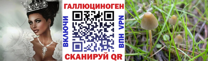 Псилоцибиновые грибы Magic Shrooms  Ступино 