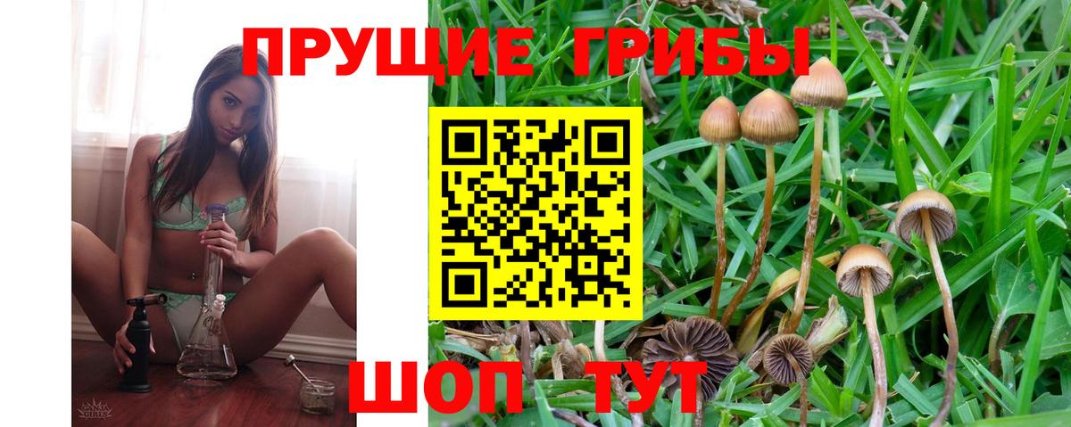 Галлюциногенные грибы Cubensis  Вход с VPN  Псилоцибиновые грибы мухоморы  Ступино 