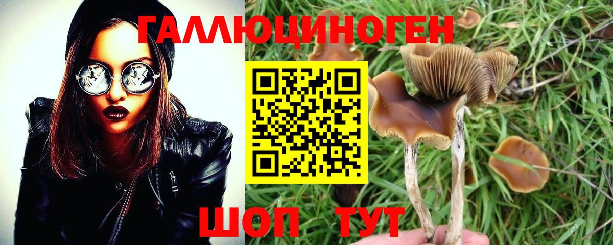 Галлюциногенные грибы GOLDEN TEACHER Ступино